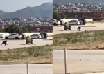 شمبانزي