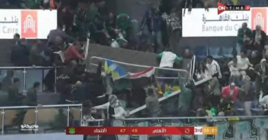 السلة