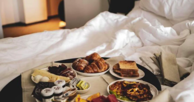 القطاع السياحي