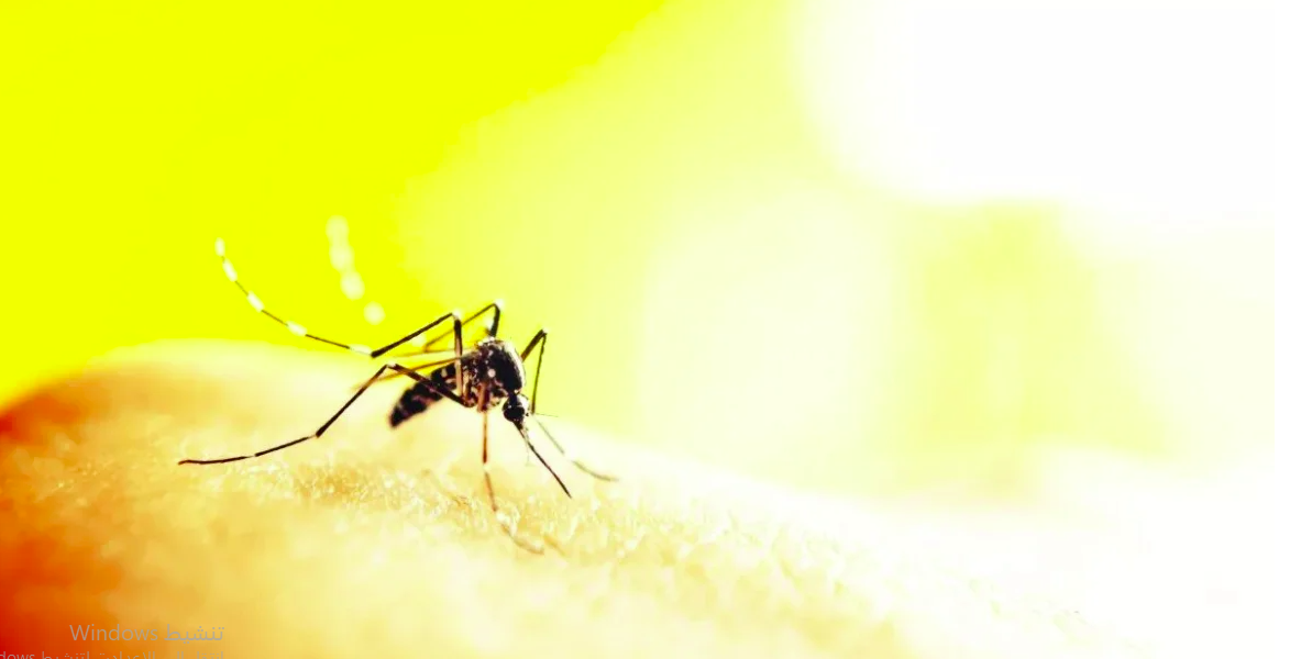 فيروس غرب النيل