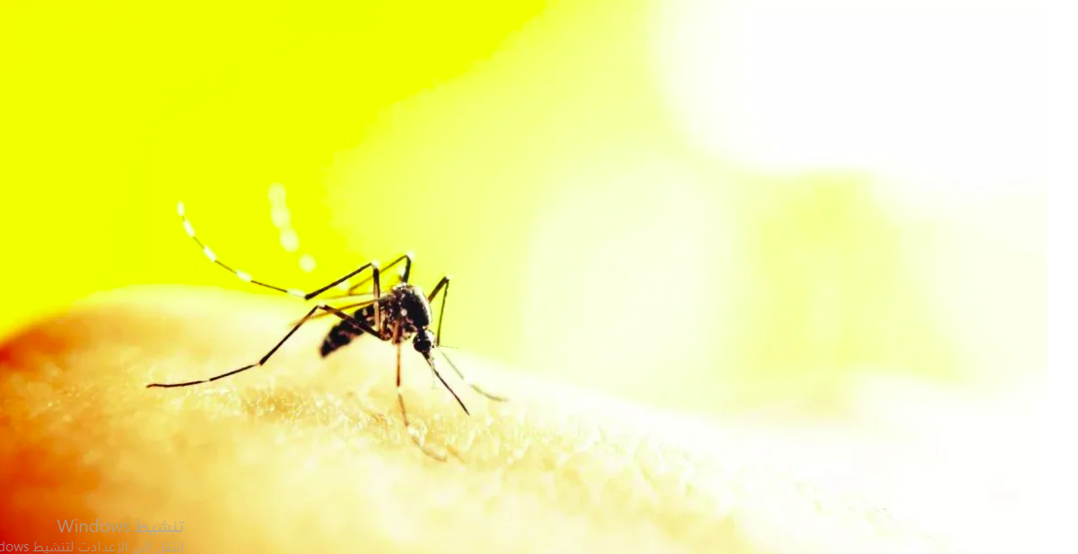 فيروس غرب النيل