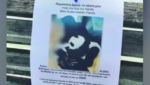 دبدوب