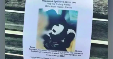 دبدوب