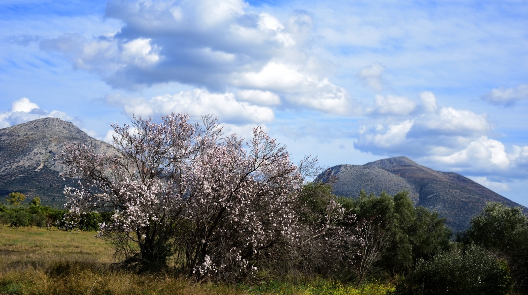 الطقس صافياً اليوم الأحد مع ظهور بعض السحب