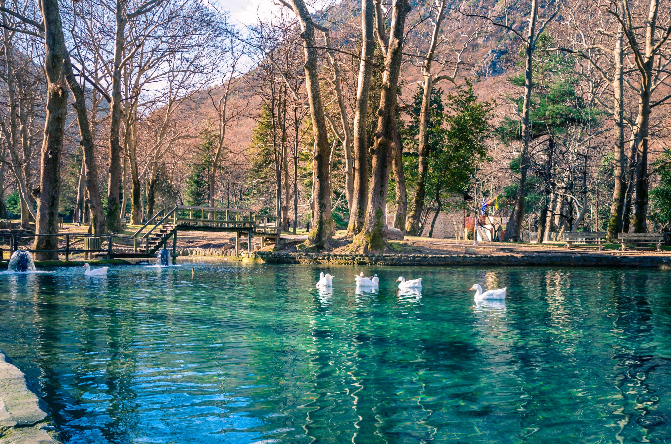 "حدائق ميداس" الحديثة في ناوسا - أشجار الدلب التي يبلغ عمرها قرونًا