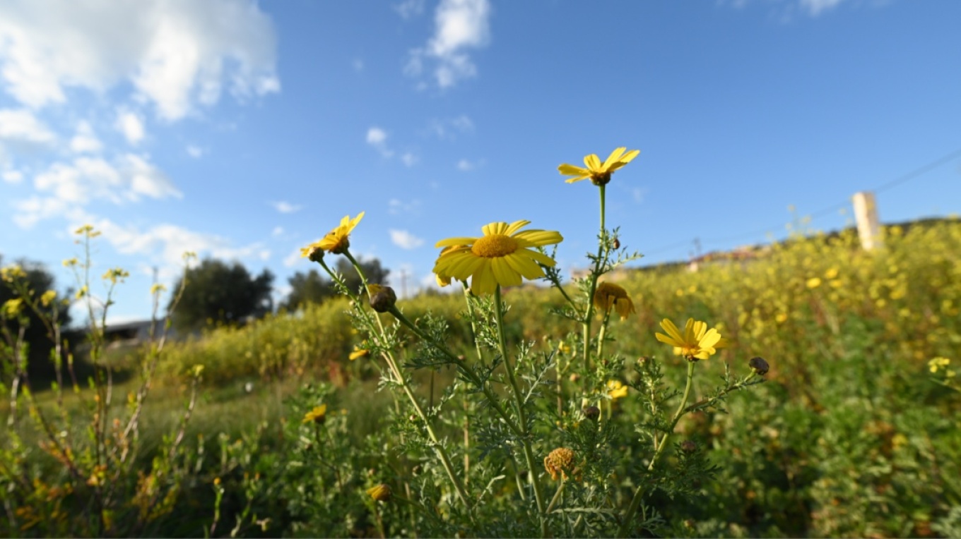 درجه الحراره تصل إلى ١٨ درجة في أتيكا مع أشعة الشمس في بعض الأماكن يوم الجمعة