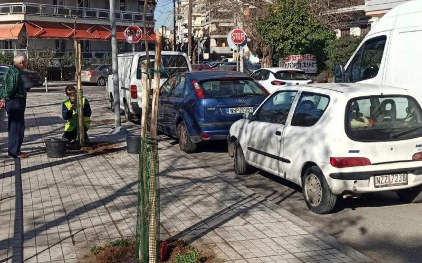 تمت زراعة ١٠٠٠ شجرة جديدة خلال ٥ أسابيع في سالونيكي