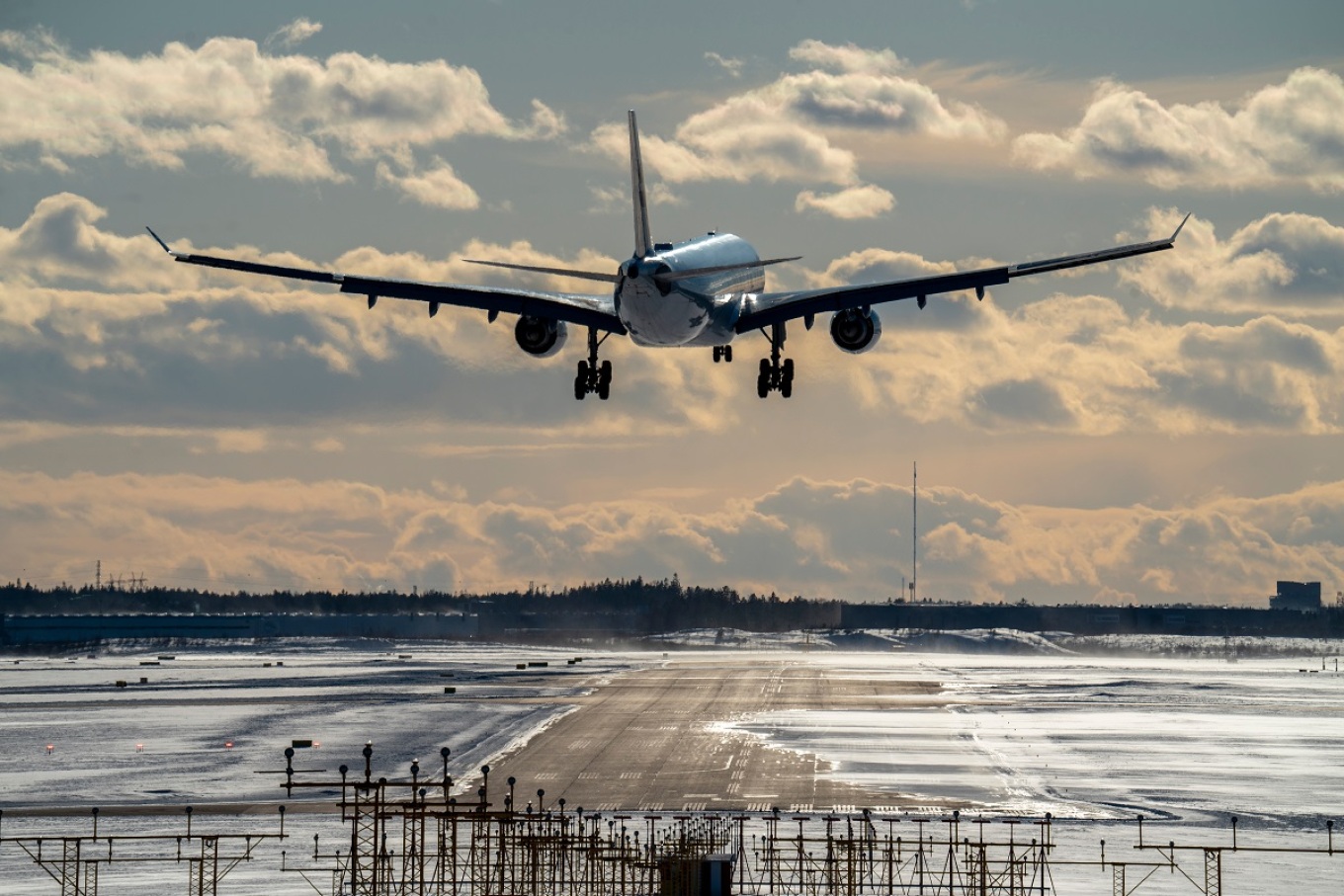 ألكسندروبولي: اصطدم سرب من الطيور بطائرة أثناء إقلاعها من مطار "ديموكريتوس"