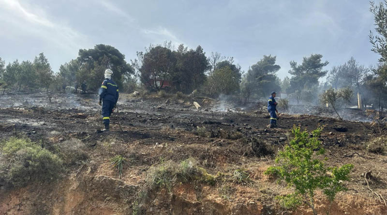 إخماد حريق اندلع في منطقة غابات ببلدية سباتون