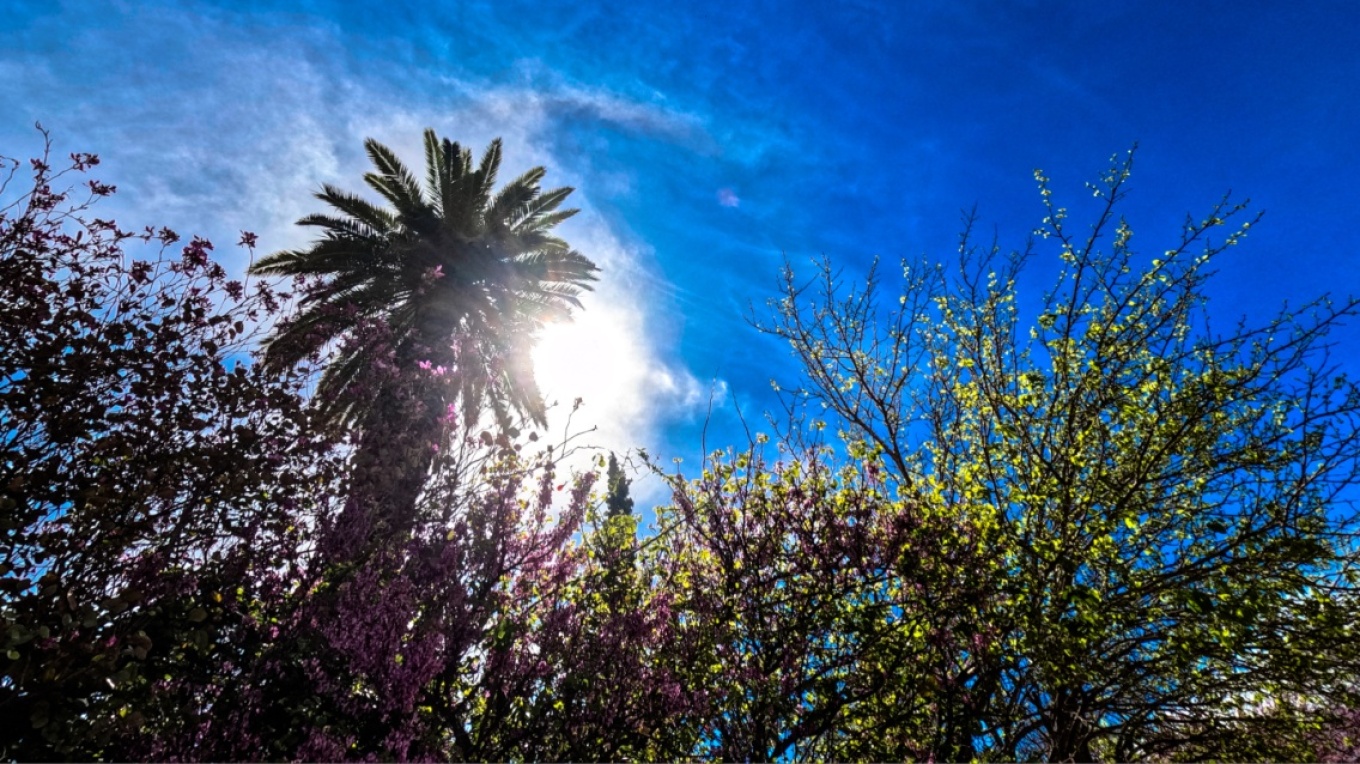 طقس اليوم الخميس صافياً بوجه عام - درجة الحرارة تصل الي ٢٥ درجة