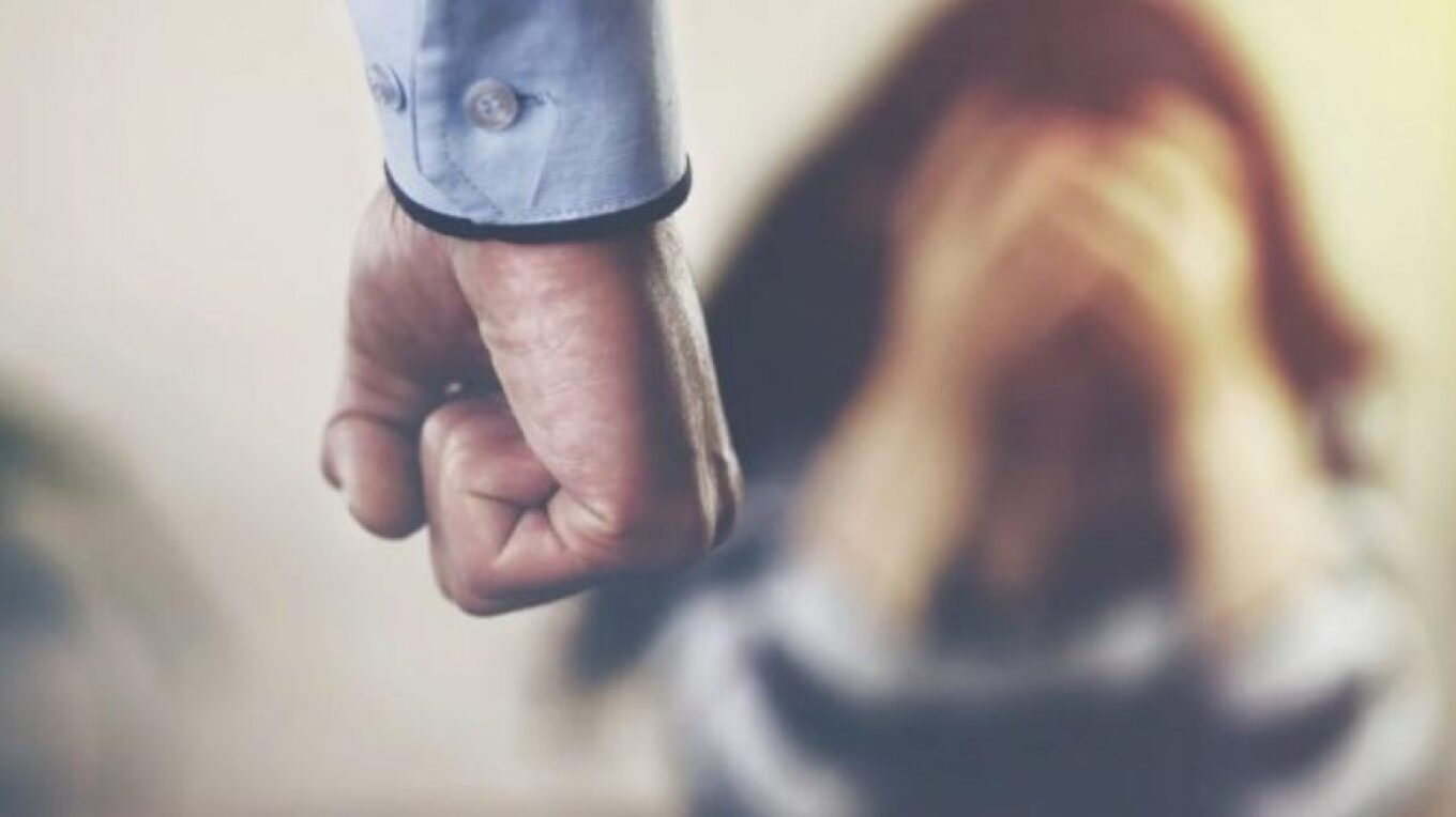 استمرار تزايد حالات العنف المنزلي - اعتقال أربعة أشخاص