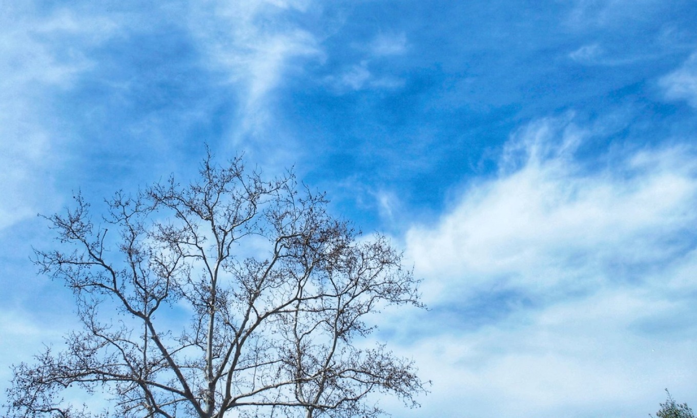 الطقس: تحسن على عموم البلاد و ارتفاع في درجات الحرارة