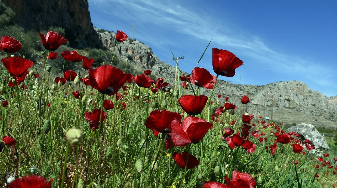 طقس معتدل يوم الثلاثاء و ارتفاع في درجات الحرارة