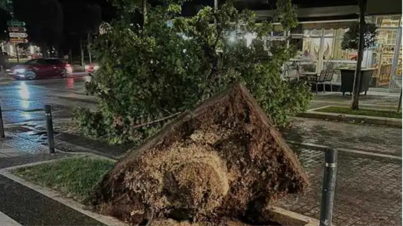 إعصار قوي في فيريا "يقتلع" الأشجار و أعمدة الكهرباء