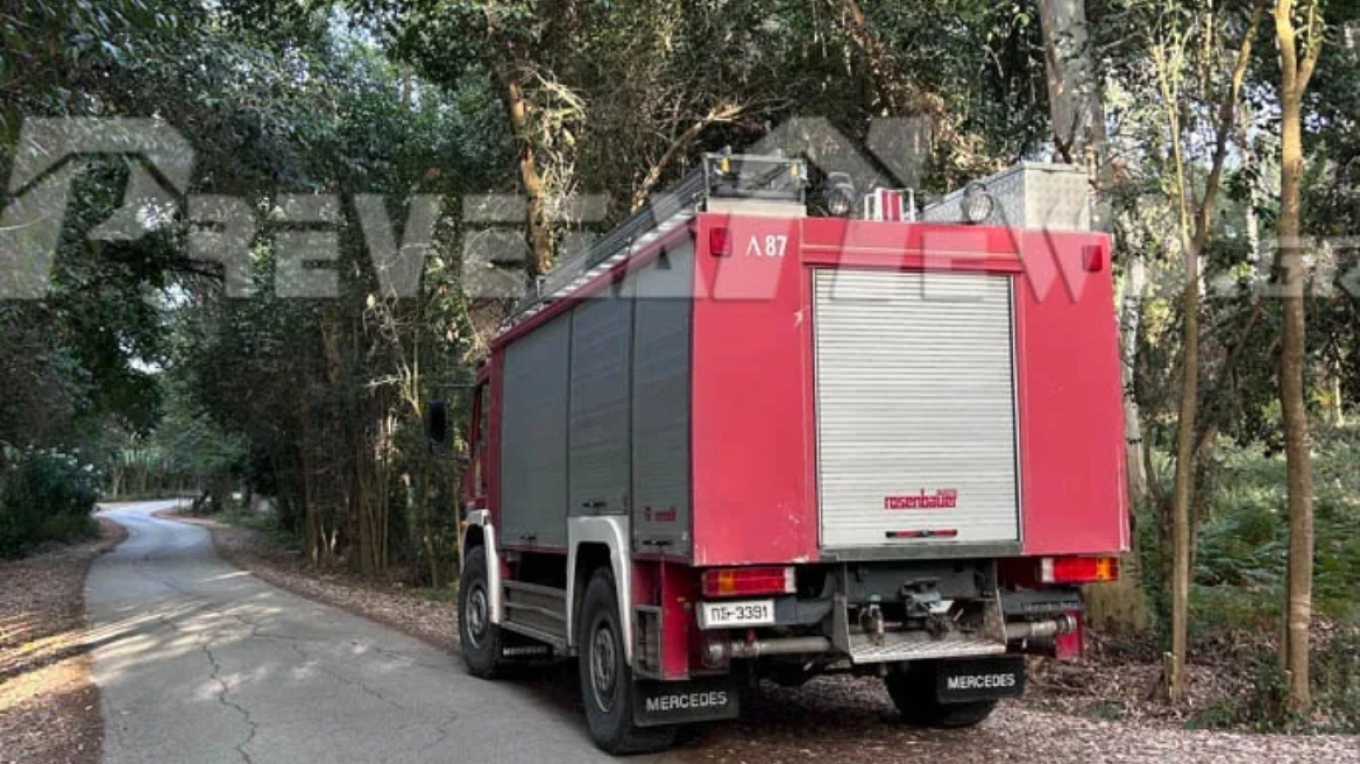 بريفيزا: ألقي القبض على رجل يبلغ من العمر ٣٨ عاما بتهمة الحرق العمد في غابة مونوليثو