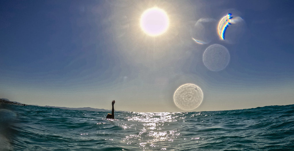 الطقس: مشمس مع ارتفاع طفيف على درجات الحرارة - الحرارة تصل إلى ٣٦ درجة