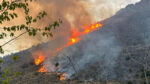 حريق في منطقة ذات غطاء نباتي منخفض في ليفكوبيترا، كسانثي