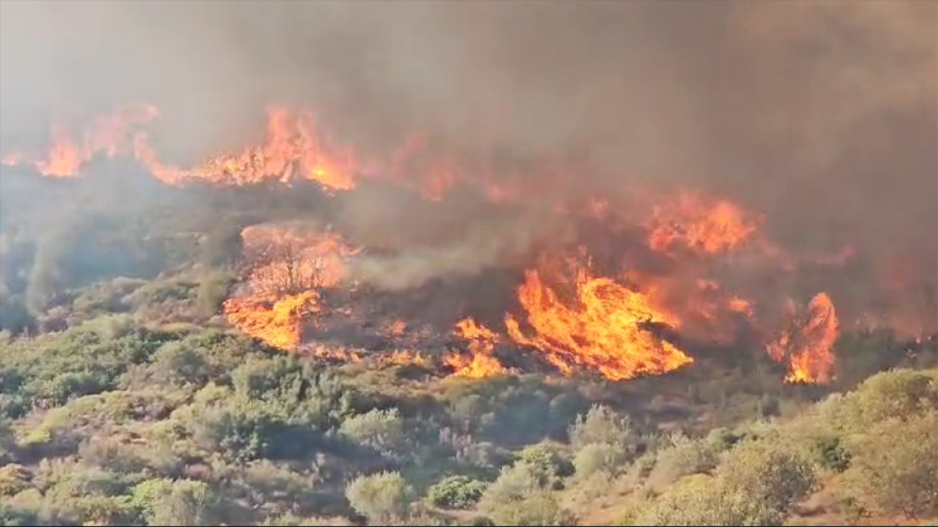 إيفيا: استمرار حريق خارج عن السيطرة و إخلاء المستوطنات و إصابة رجل إطفاء