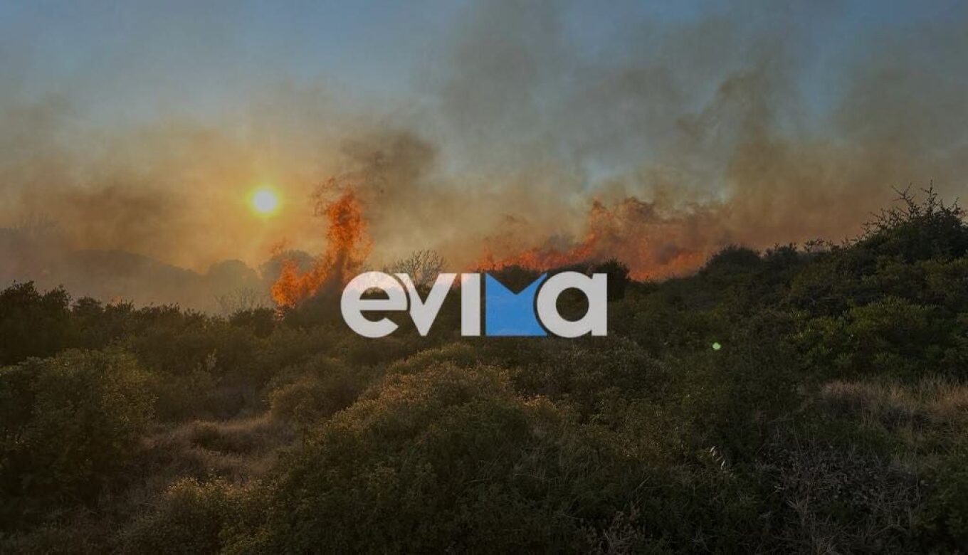 حريق في جنوب إيفيا في قرية تساكاي