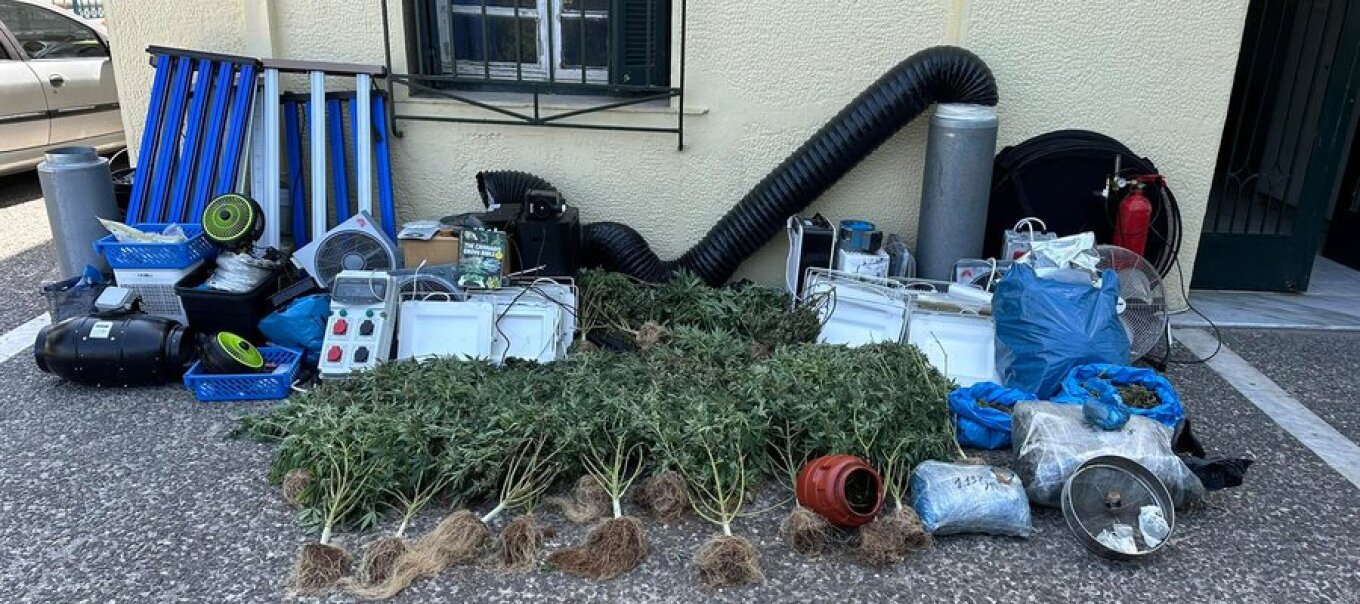 كولونوس: العثور علي معمل قنب به ٣٠ شتلة وصل طولها إلى ١.٥ متر