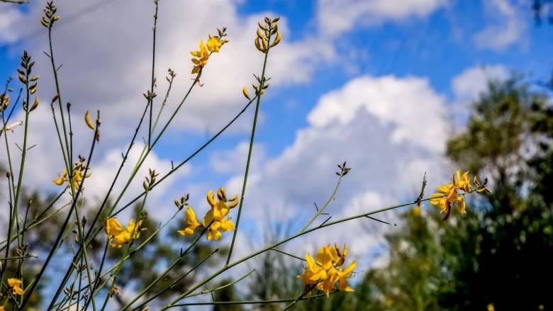 طقس معتدل و درجات الحرارة تصل إلى ٣٤ درجة في اتيكا