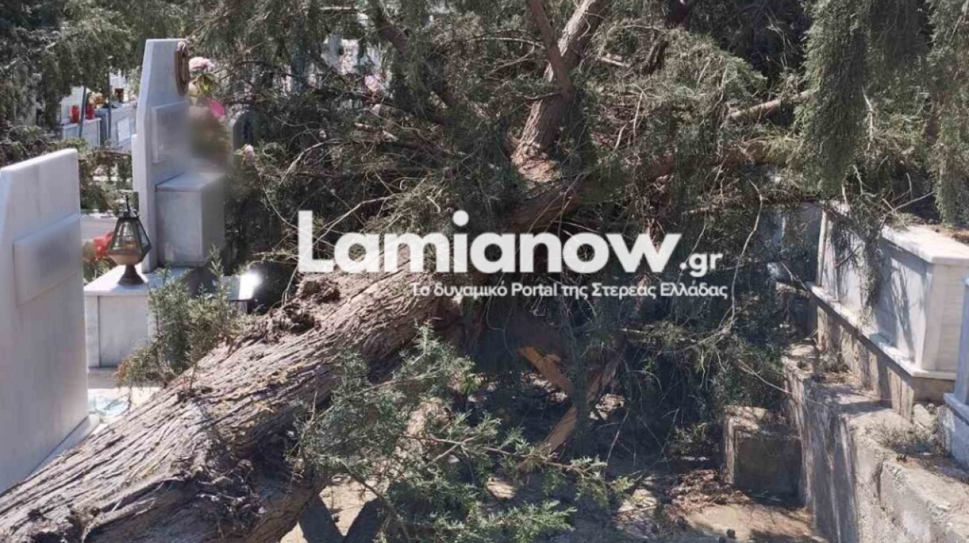 سوء الأحوال الجوية في لاميا: اقتلاع أشجار و تكيسر قبور