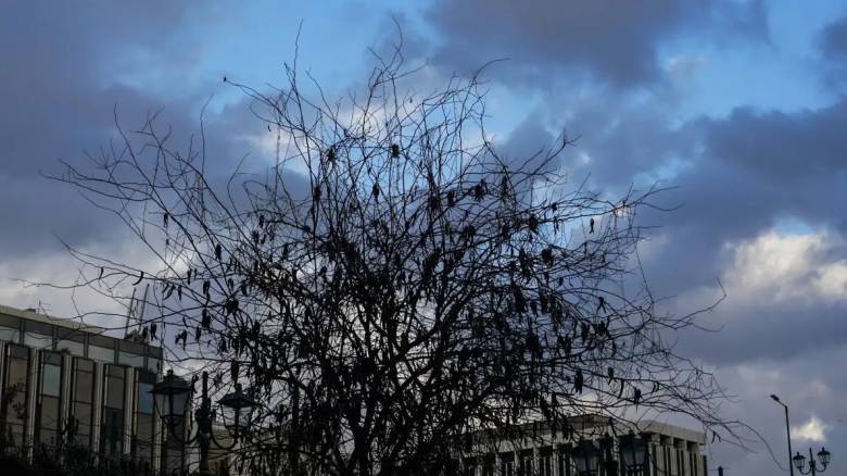 طقس اليوم مشمس مع درجات حرارة تصل إلى ٢٧ درجة في اتيكا