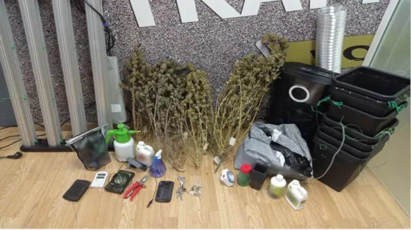 القبض على رجل يبلغ من العمر ٤٢ عاما في بيرايوس بتهمة زراعة و تجارة الحشيش