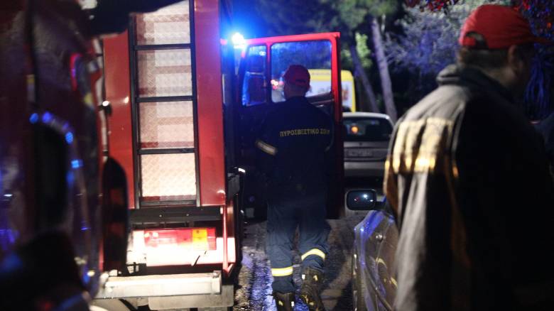 حريق في منزل في بترالونا: السكان سالمون - وفاة تسعة قطط بشكل مأساوي