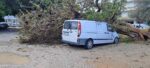 رودس: سقوط شجرة على السيارات بسبب سوء الأحوال الجوية