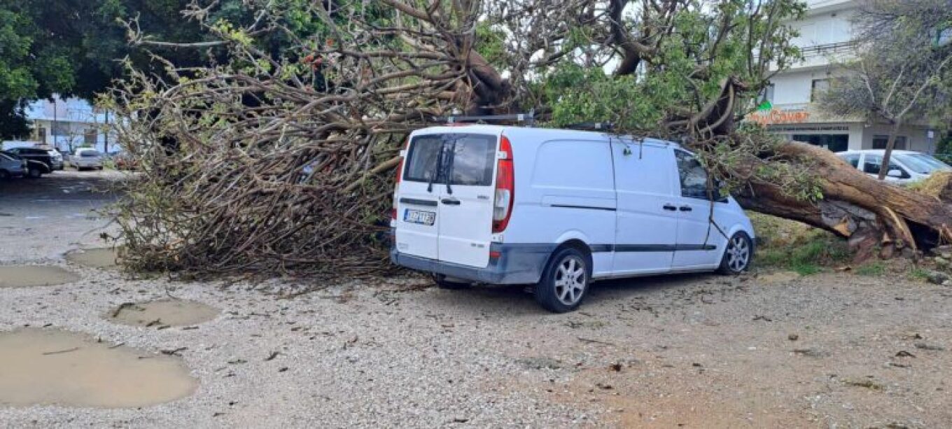 رودس: سقوط شجرة على السيارات بسبب سوء الأحوال الجوية