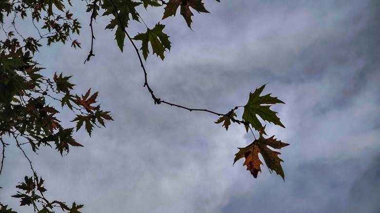 الطقس غائم مع زخات مطر متفرقة و انخفاض طفيف في درجات الحرارة