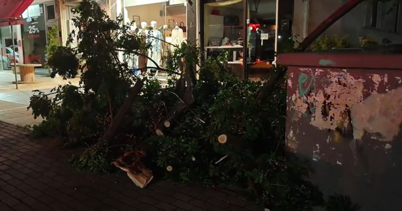 سقوط أشجار بسبب الرياح العاتية في أتيكا
