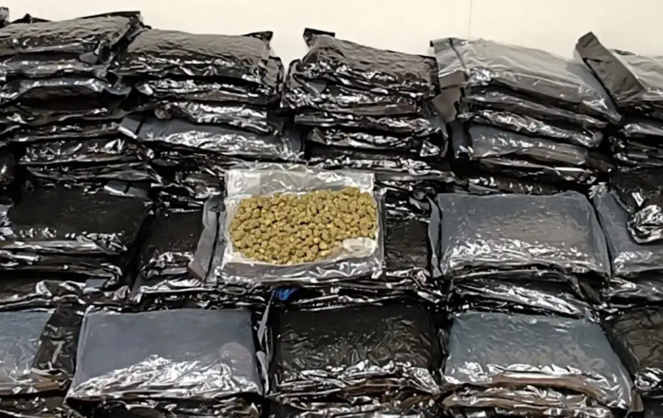 حجز كمية كبيرة من القنب في "إليفثيريوس فينيزيلوس" و مصادرة ١٨٥ كيلوغراماً