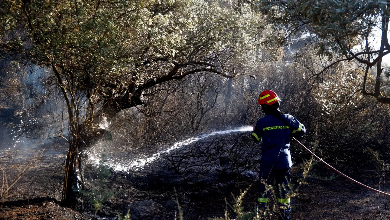 إدارة الإطفاء: ٣٨ حريقًا زراعيًا و غابات خلال الـ ٢٤ ساعة الماضية في جميع أنحاء البلاد