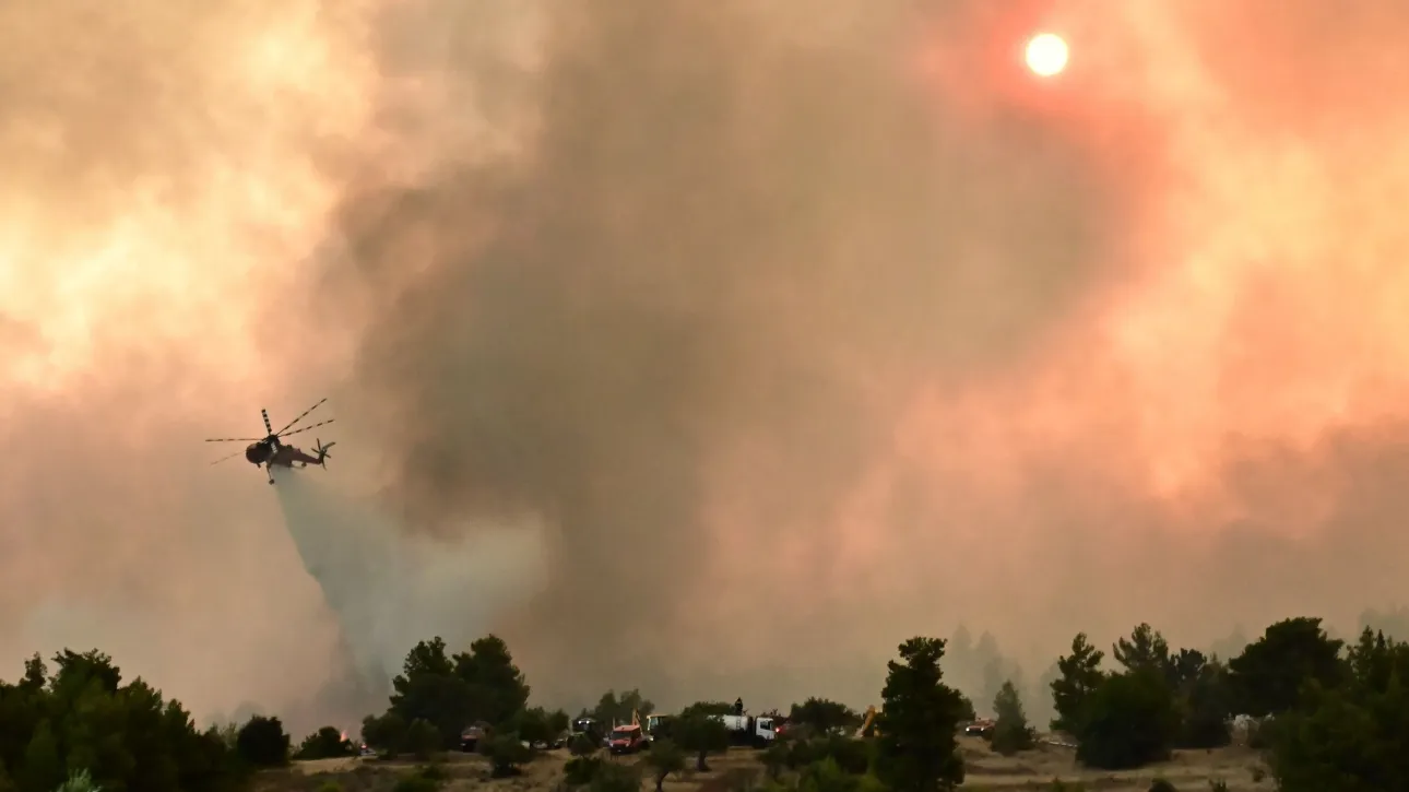 إدارة الإطفاء: ٥٣ حريقًا زراعيًا و غابات خلال الـ ٢٤ ساعة الماضية في جميع أنحاء البلاد