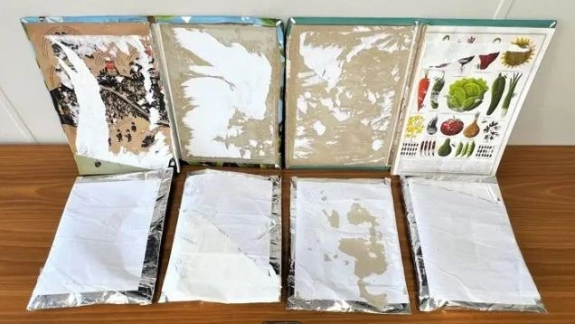 إل. فينيزيلوس: رجل يبلغ من العمر ٣٥ عامًا أخفى أكثر من ٢.٧ كيلوغرام من الكوكايين في أغلفة كتب الأطفال