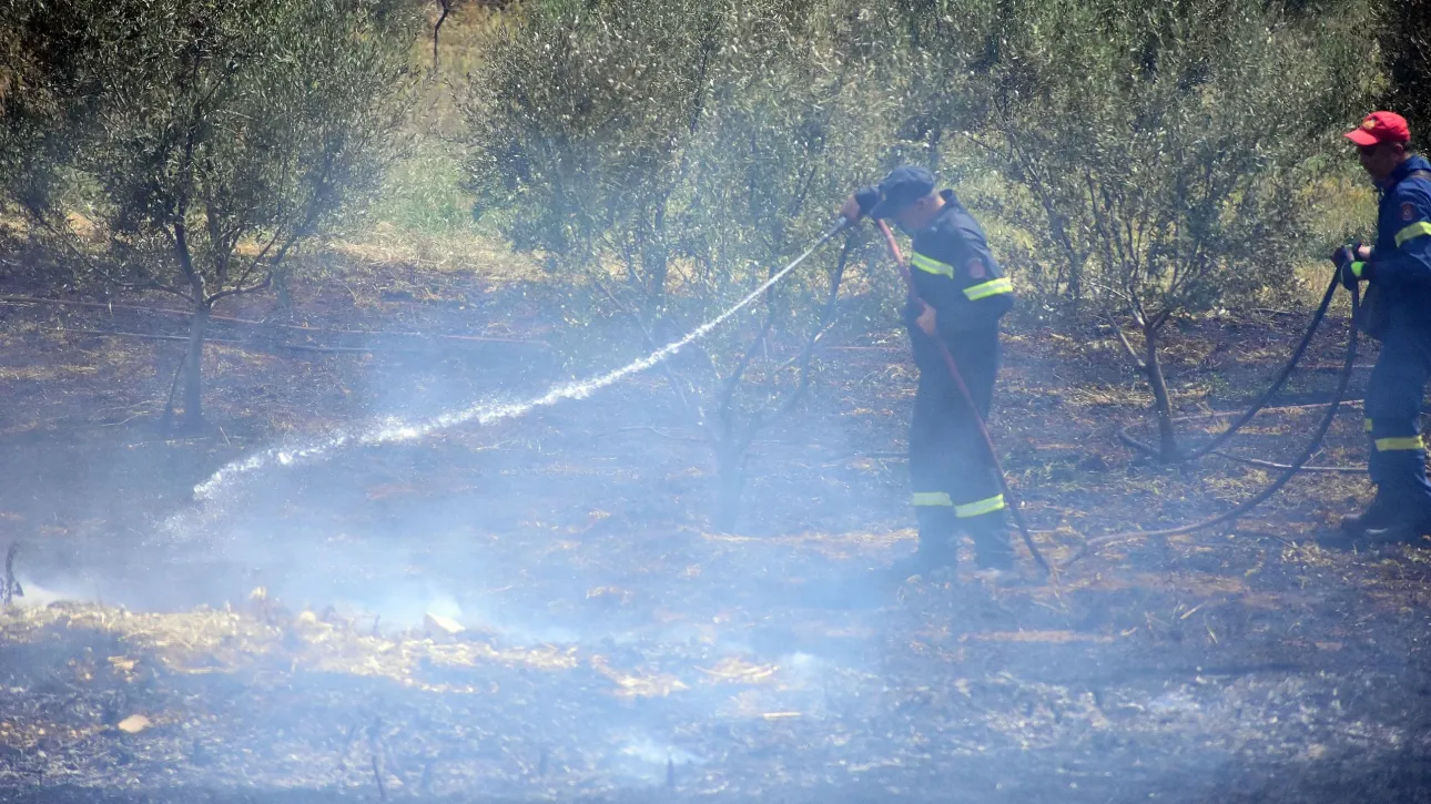 حريق في مصنع لإعادة التدوير في ألكسندروبولي - دخان أسود "يخنق" المنطقة