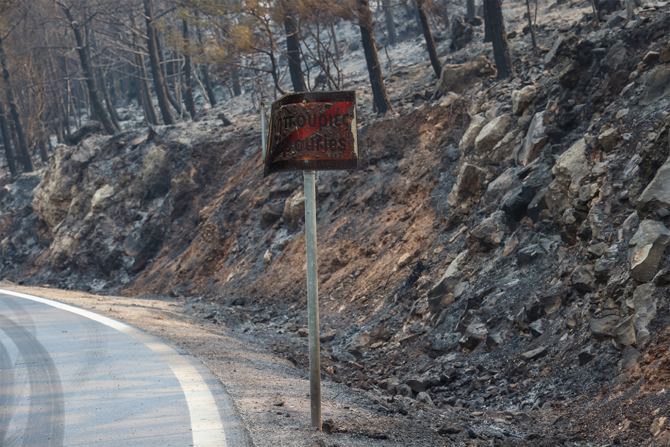 كارثة في شمال خيوس: أكثر من ٦٩ ألف فدان احترقت وفقًا لمرصد أثينا