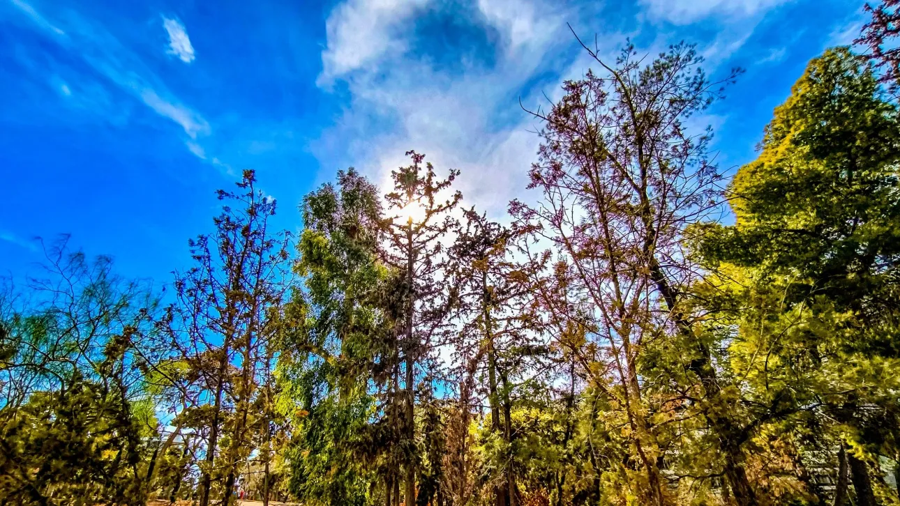 الطقس صافٍ بشكل عام مع درجات حرارة تصل إلى ٣٢ درجة في اتيكا