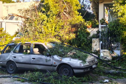 سقطت الأشجار بسبب العاصفة في كيفيسيا - أضرار في أسوار المنازل و أعمدة الكهرباء و السيارات المتوقفة