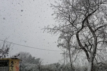 ستغلق المدارس أبوابها غداً في فلورينا بسبب تساقط الثلوج