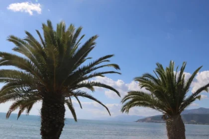 الطقس صافٍ مع وصول درجة الحرارة إلى ١٩ درجة مئوية في العاصمه