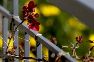 الطقس: سماء صافية في معظم أنحاء البلاد مع ارتفاع درجات الحرارة في اتيكا