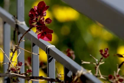 الطقس: سماء صافية في معظم أنحاء البلاد مع ارتفاع درجات الحرارة في اتيكا