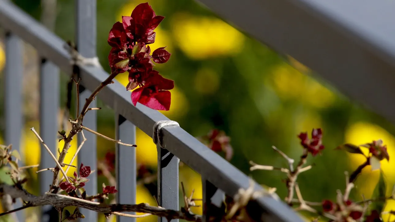 الطقس: سماء صافية في معظم أنحاء البلاد مع ارتفاع درجات الحرارة في اتيكا