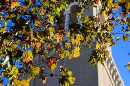 الطقس صافٍ مع هطول أمطار محلية و رياح شمالية قوية في بعض المناطق