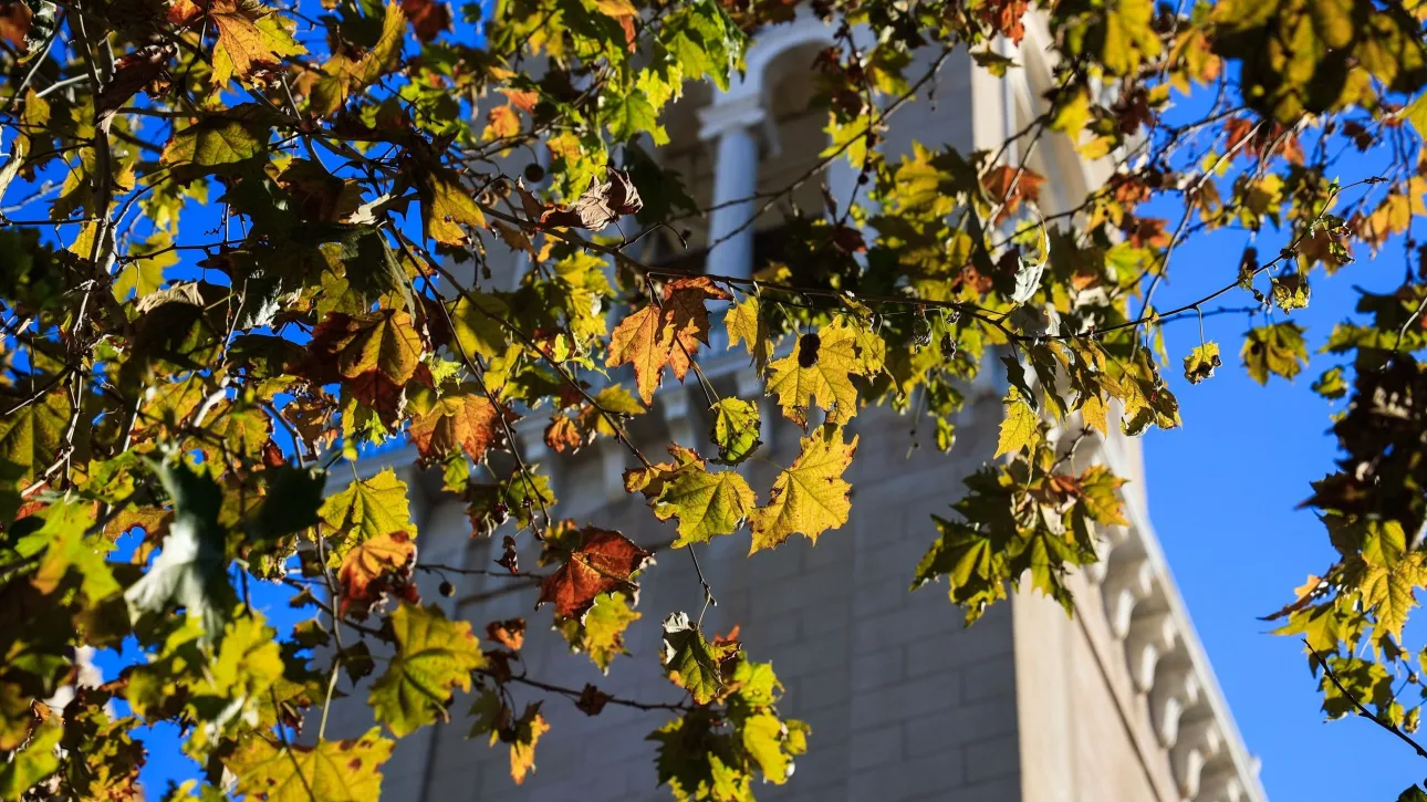 الطقس صافٍ مع هطول أمطار محلية و رياح شمالية قوية في بعض المناطق