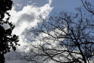 الطقس: صافٍ في الغالب مع وجود غيوم و أمطار متفرقة في الجبال - درجة الحرارة ٢٣ درجة