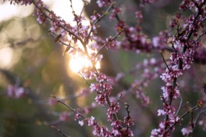 طقس معتدل مع درجات حرارة تصل إلى ٢٣ درجة مئوية في اتيكا